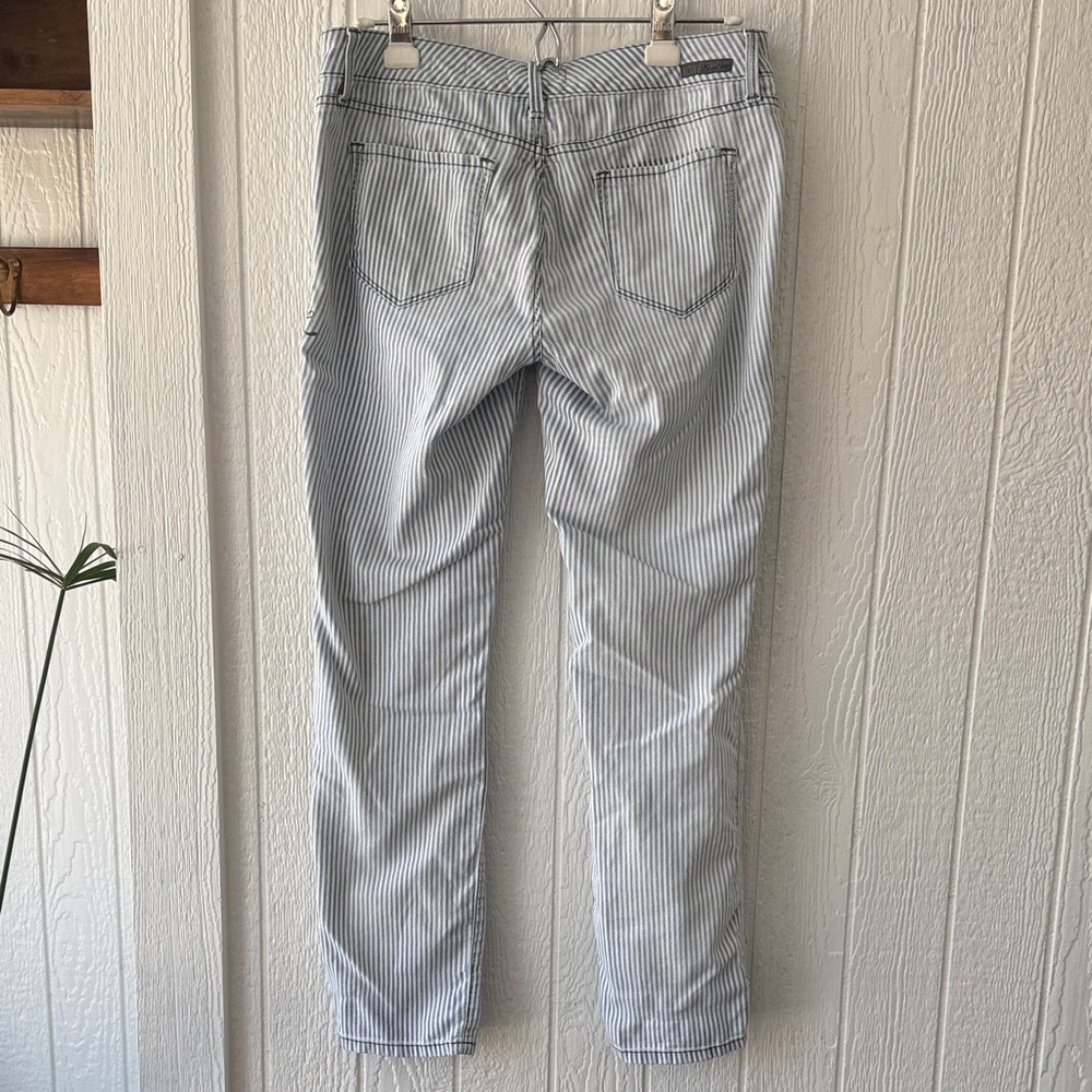 Anthropologie Level 99 Railroad Stripe Lily Skinny Straight Denim Jeans sz 28 - Picture 3 of 7